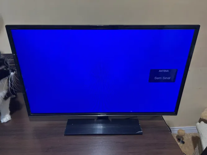 TV SEMP 32 POL