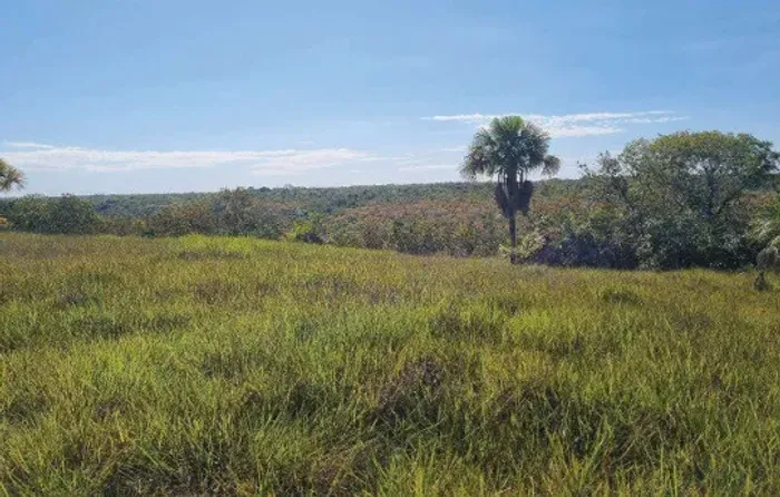 Imóvel rural no Zona Rural em Novo Acordo