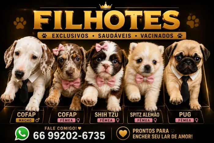 Filhotes