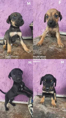Doaç?o