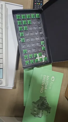 24 Switch akko green