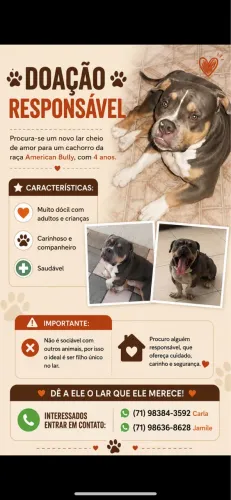 Doação responsável 