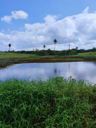 fazenda com 103.8 hectares próximo a escola agrícola de jundiá boa de pasto e água