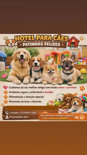 Hotel para pet 