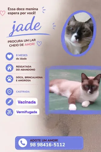 Adoção responsável! 