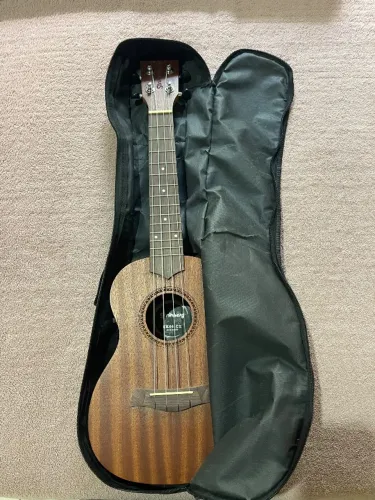 Ukulele Concert Strinberg Elétrico