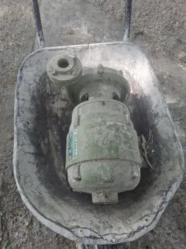 Motor Elétrico Manzoli 3 CV + Bomba Centrífuga 2 Polegadas (Conjunto Robusto)
