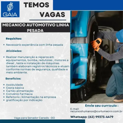 MECANICO DIESEL E ELETRICISTA AUTOMOTIVO