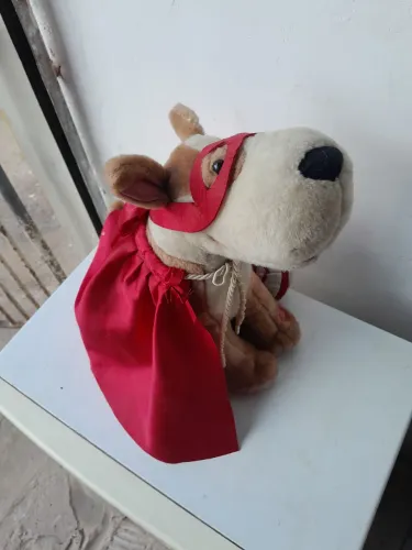 Stock Super Cão