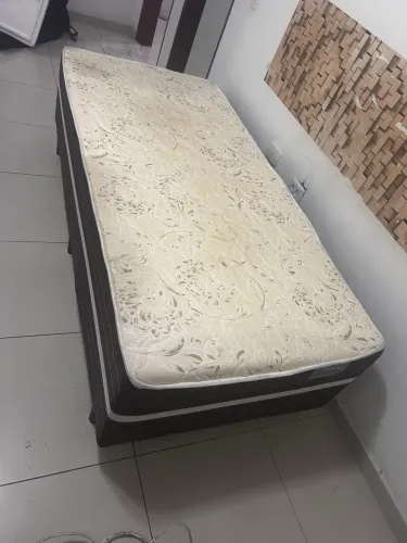 Cama