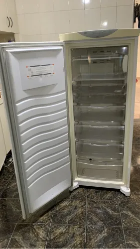 Freezer horizontal