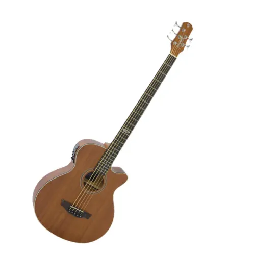 Baixolão Strinberg SB250C MGS 5C Fosco