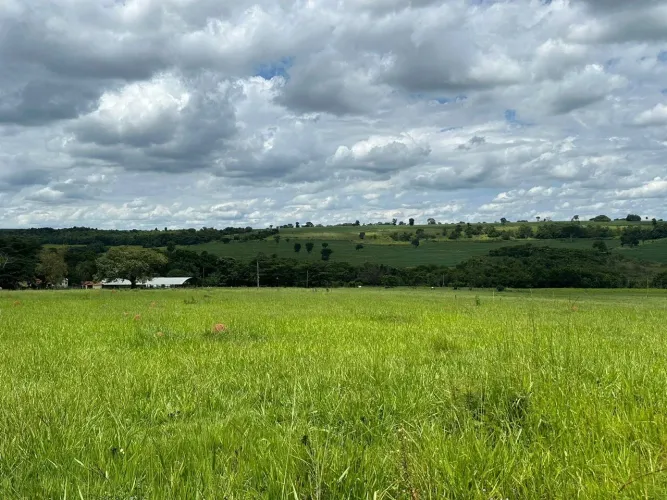 Fazenda próximo campo florido