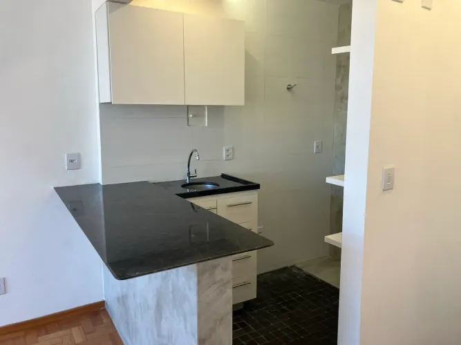 Aluguel Duplex com 60 metros quadrados com 1 quarto em Santo Agostinho - Belo Horizonte - 