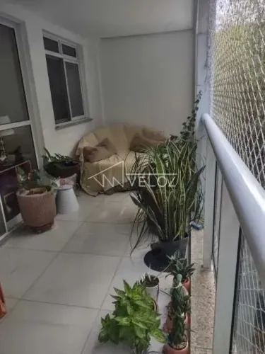 Apartamento : / Residencial / Laranjeiras