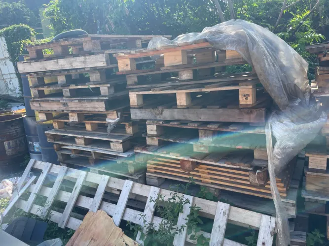Pallet de madeira 