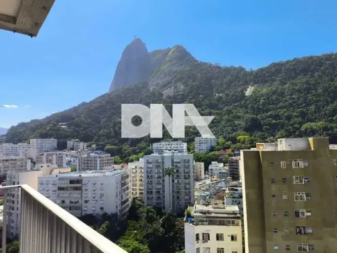 Apartamento : Padrão / Residencial / Botafogo