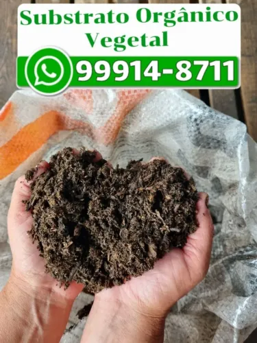 Substrato Orgânico Vegetal composto para plantas