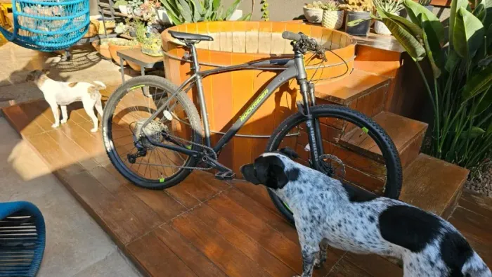 Bicicleta Aro 29 ST900 Transmissão Shimano Rockrider + Acessórios 