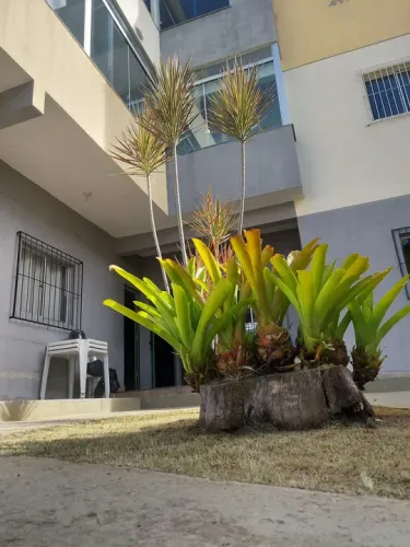 Serviços de poda e jardinagem
