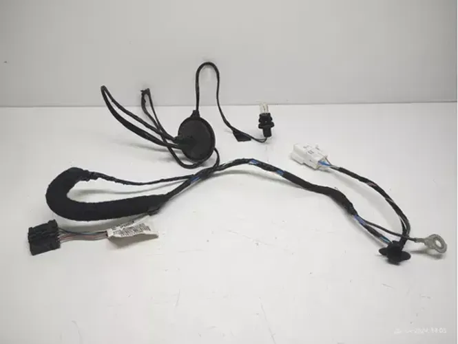 Chicote Do Porta Malas Da Luz De Placa Renault Sandero 2016 
