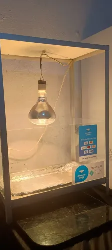 Máquina de Batata Frita 