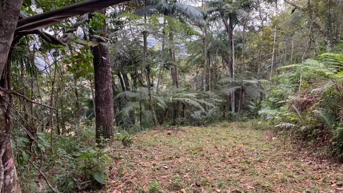 Vendo Sítio com área de 8000m2 em São Pedro de Alcântara 