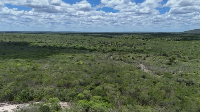 Fazenda a Venda - 168 hectares João Camara