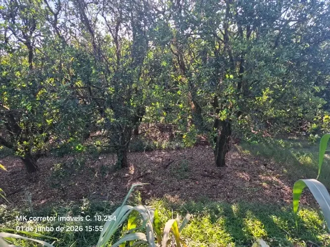 Chácara de 2,88 hectares, lote 02, região da Gleba Couro do Boi em Jataizinho.