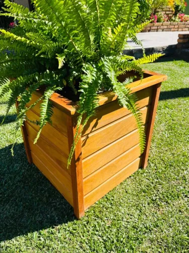 CACHEPOT TAUARI
