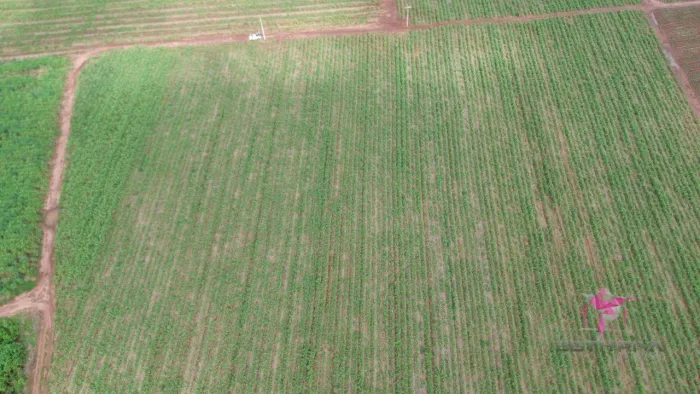 Terreno à venda, 18167 m² por R$ 1.200.000,00 - Área Rural - Pirassununga/SP
