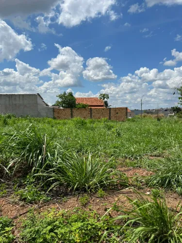 Lote 12x25