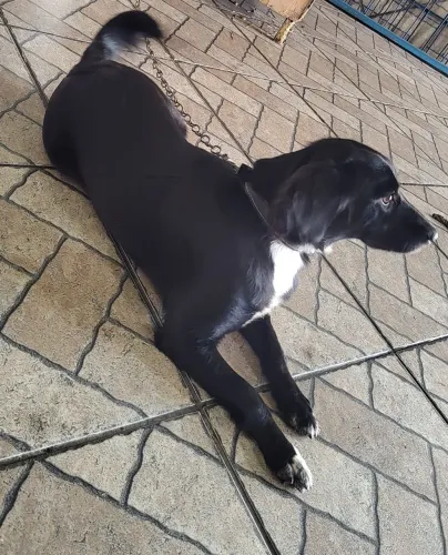 Doação