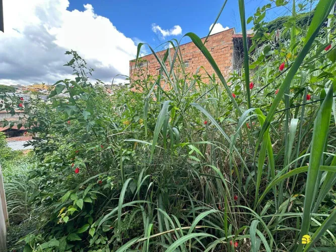 Lote à venda, Palmeiras - Belo Horizonte/MG
