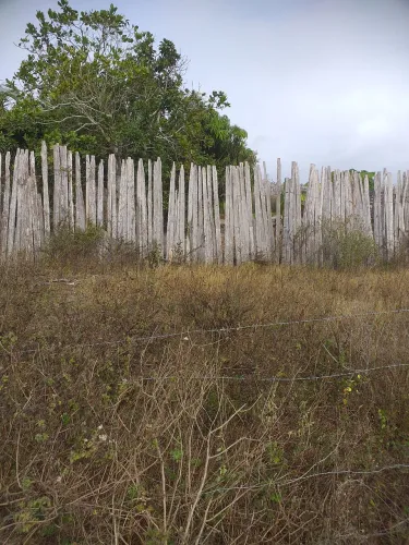 Terreno no povoado de José Gonçalves ( Guigo )