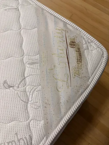Colchão Casal Ortobom Liberty Bambu - higienizado, firme e conservado
