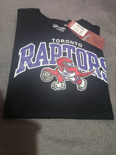 Toronto raptors 