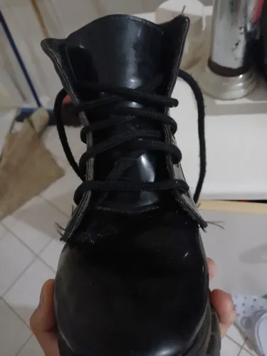Bota