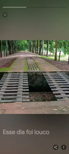 Procuro sítio ou fazenda e até 10 alqueires para arrendamento