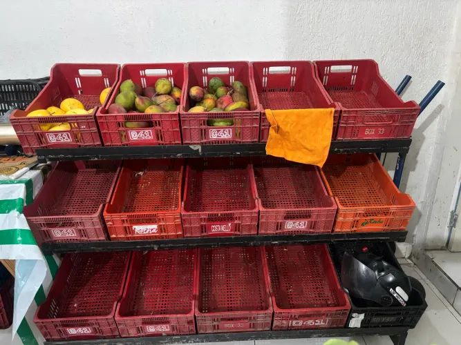 Expositor com caixa dell