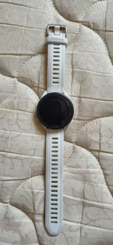 Garmin 165 music