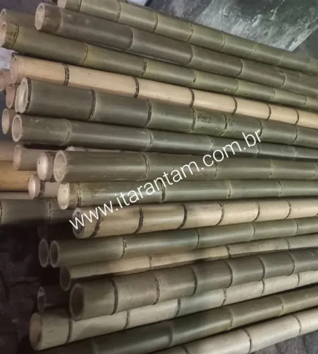 Bambu tratado,  para Cercas, forros,  artesanatos,  etc