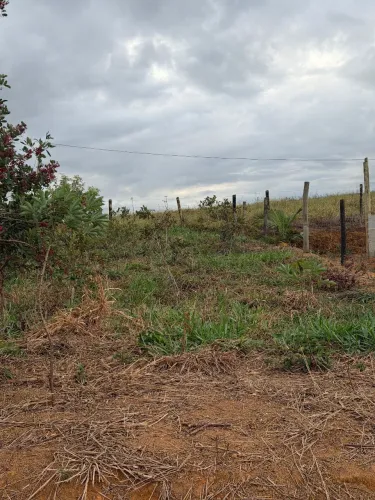 Lote 320 mts
