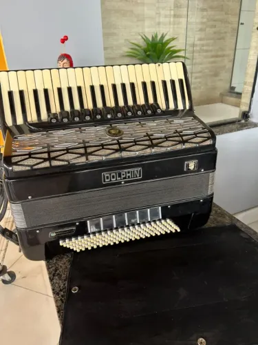 Acordeon Dolphin 120 baixos