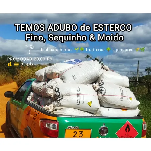 Esterco de gado sequinho puro e fino