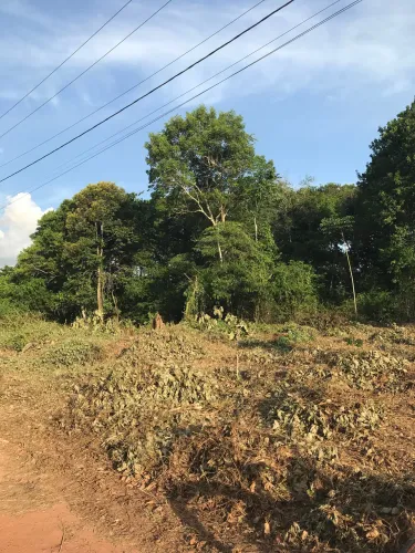 TERRENO EM SANTA ISABEL