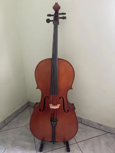 Violoncelo Eagle CE300