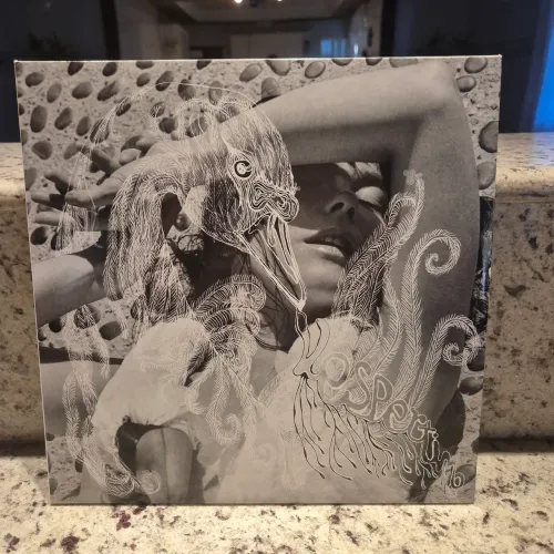 Björk - Vespertine (Vinil)