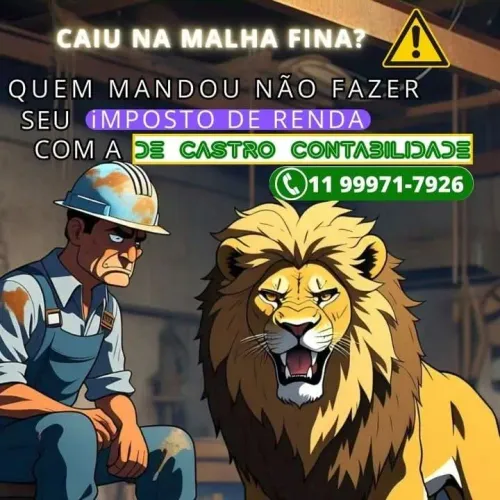 Contador Contabilidade 