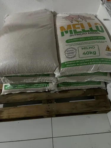 Milho 40 kg - PROMOÇÃO 